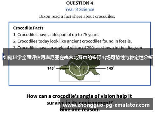 如何科学全面评估阿库尼亚在未来比赛中的实际出场可能性与稳定性分析 如何科学全面评估阿库尼亚在未来比赛中的实际出场可能性与稳定性分析