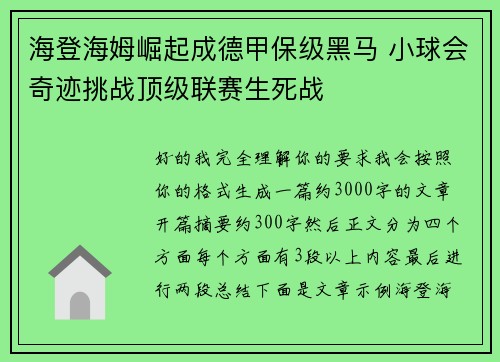 海登海姆崛起成德甲保级黑马 小球会奇迹挑战顶级联赛生死战 海登海姆崛起成德甲保级黑马 小球会奇迹挑战顶级联赛生死战