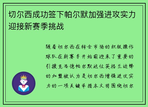 切尔西成功签下帕尔默加强进攻实力迎接新赛季挑战
